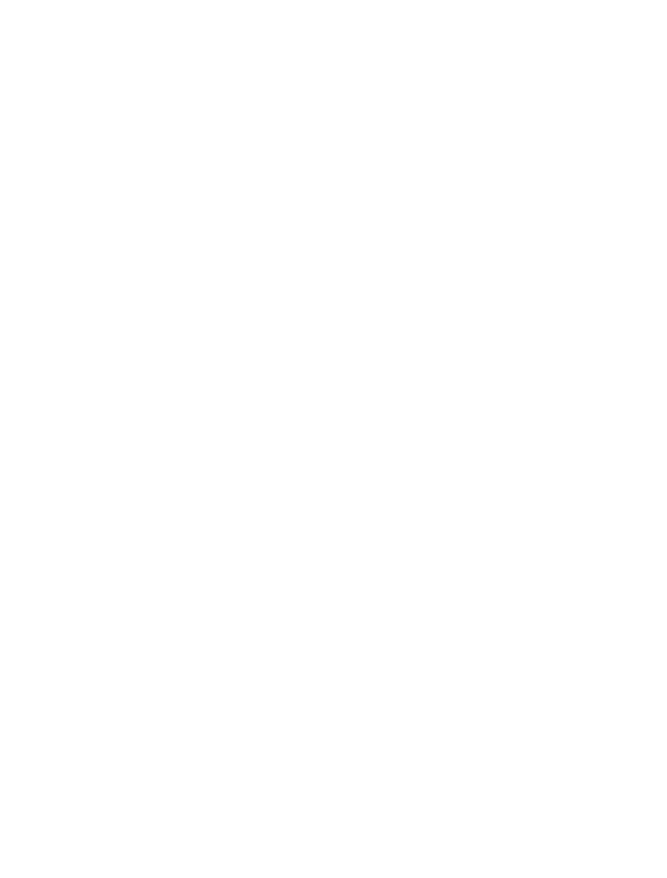 Valaholding-White-logo